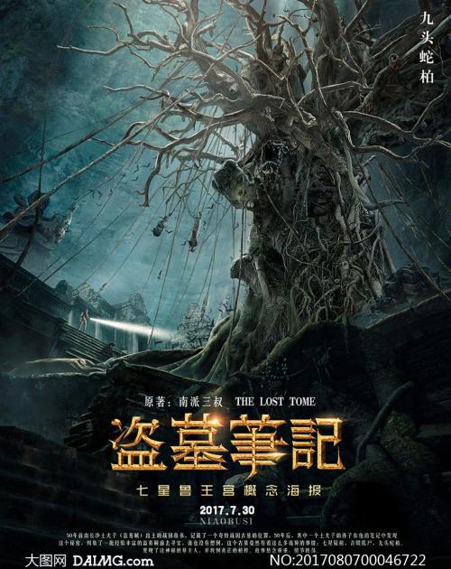 最高学位证书号怎么查